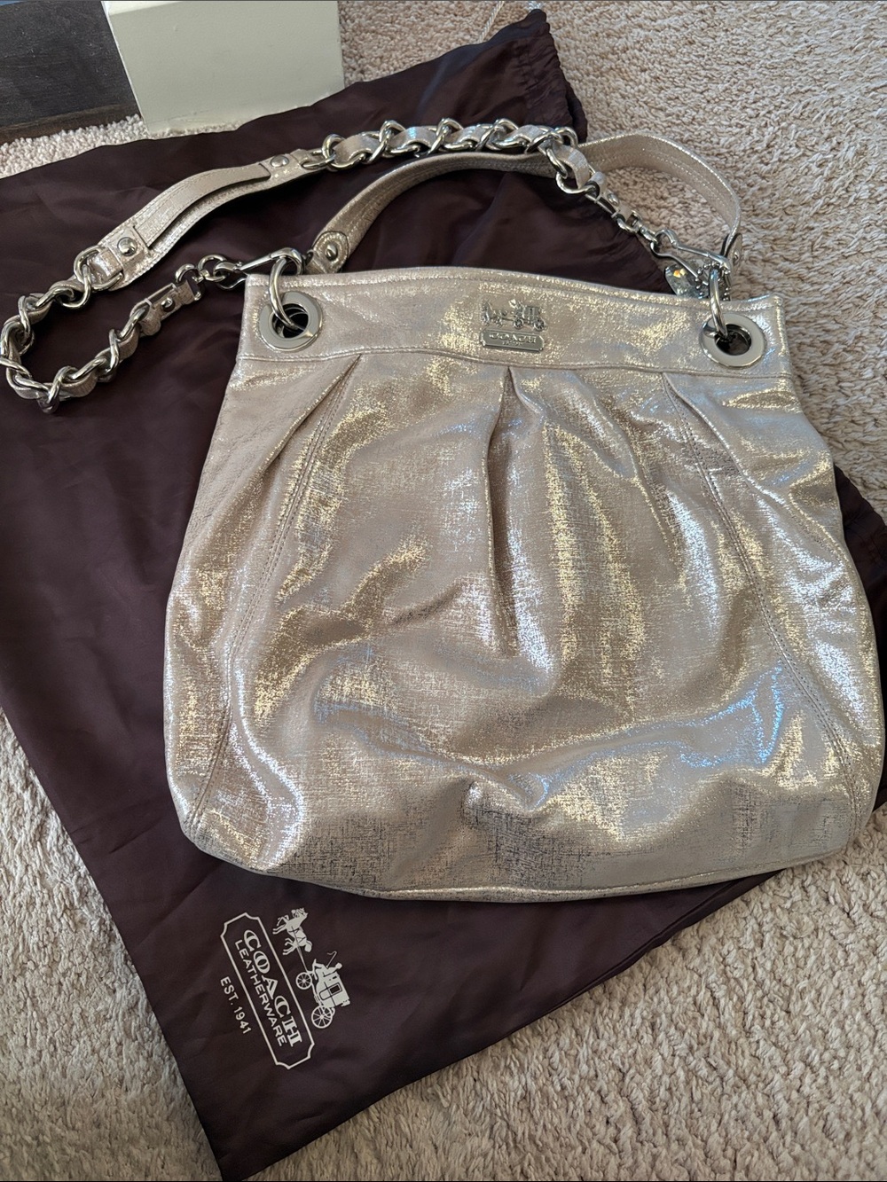 Coach Shimmery gold and silvery Chain-Handle Shoulder Bag